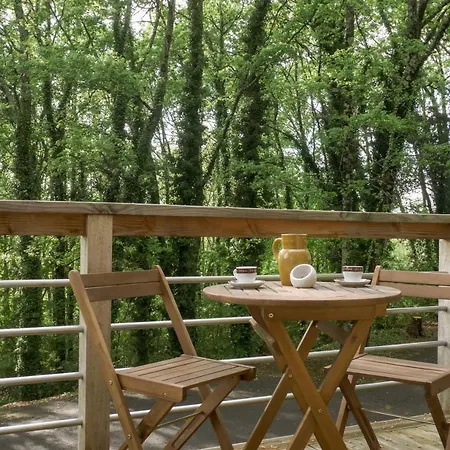 Studio cosy perché dans les arbres au coeur du Périgord proche Sarlat Castels Extérieur photo
