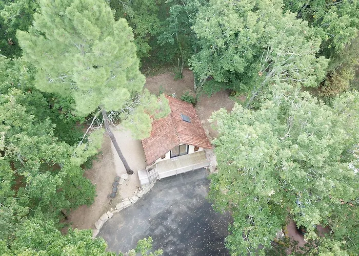 Studio Cosy Perche Dans Les Arbres Au Coeur Du Perigord Proche Sarlat