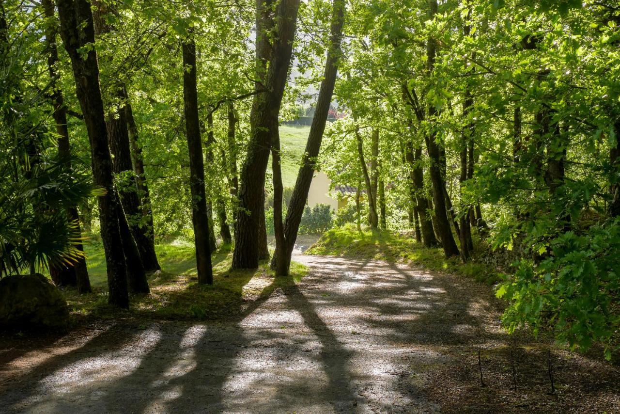 Casa de Férias Cosy Perche Dans Les Arbres Au Coeur Du Perigord Proche Sarlat Castels